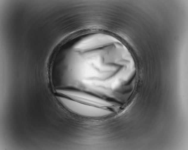 X0000088091022200706081746