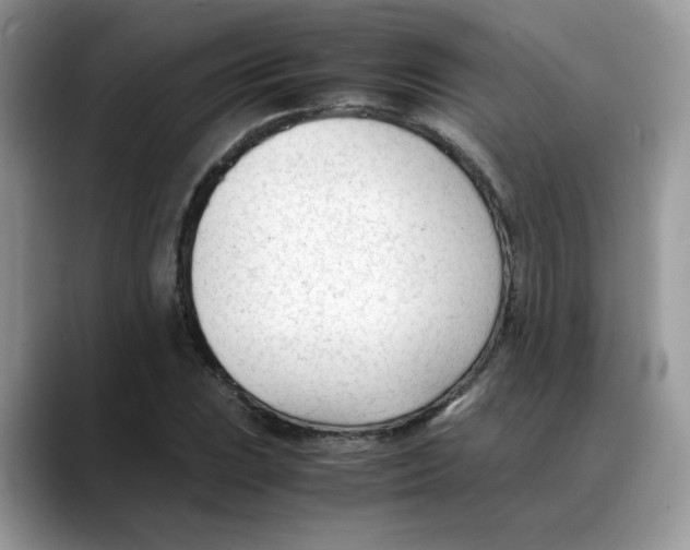 X0000088091023200706081746