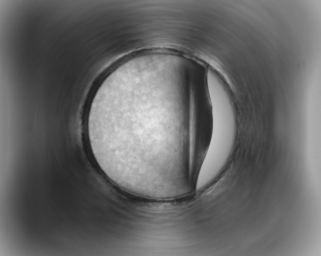 X0000088091024200706081746