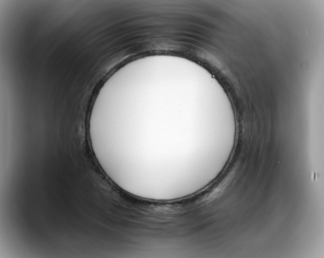 X0000088091025200706081746