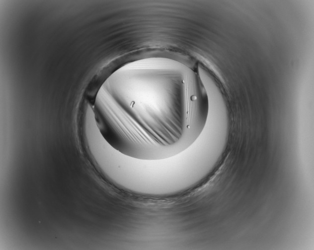 X0000088091026200706081746