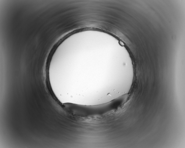 X0000088091028200706081746