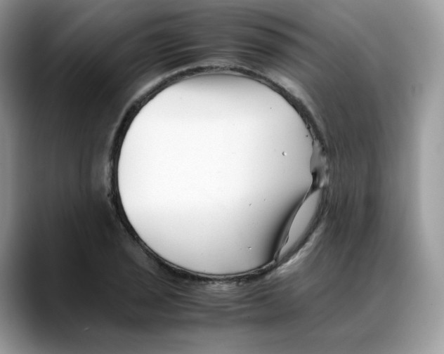 X0000088091029200706081746