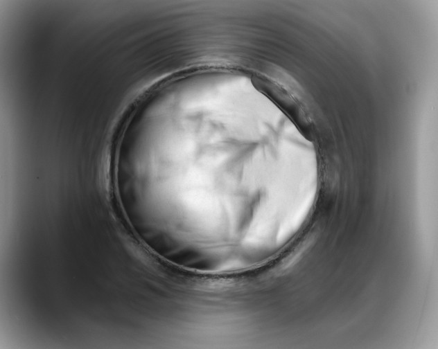 X0000088091030200706081746