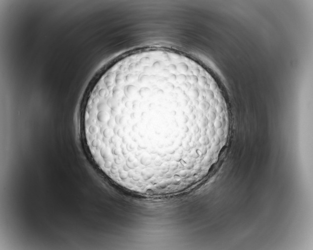 X0000088091032200706081746