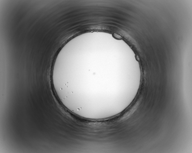 X0000088091033200706081746
