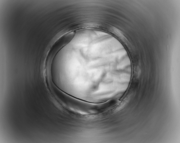 X0000088091034200706081746