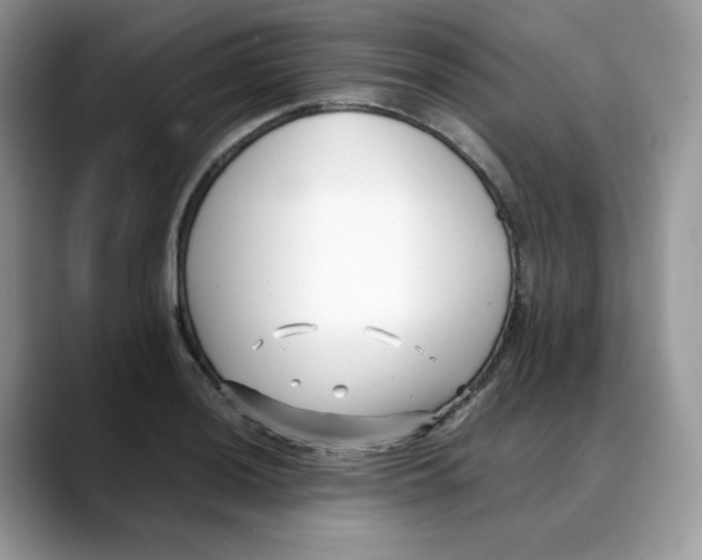 X0000088091036200706081746