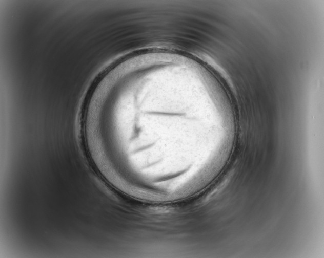 X0000088091037200706081746