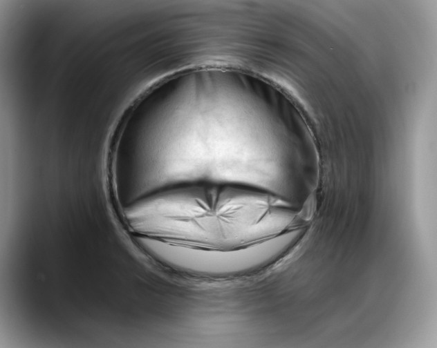 X0000088091038200706081746