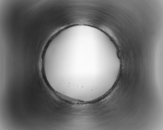 X0000088091040200706081746