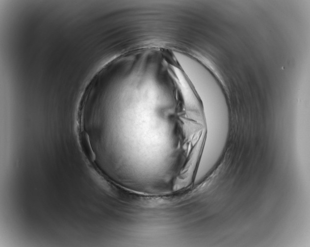 X0000088091042200706081746