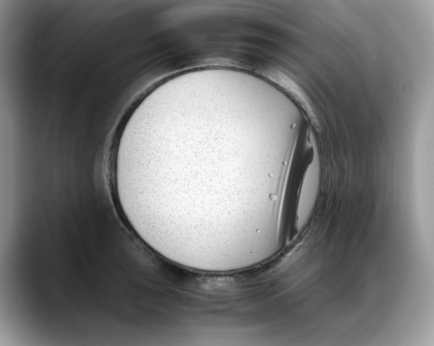 X0000088091043200706081746