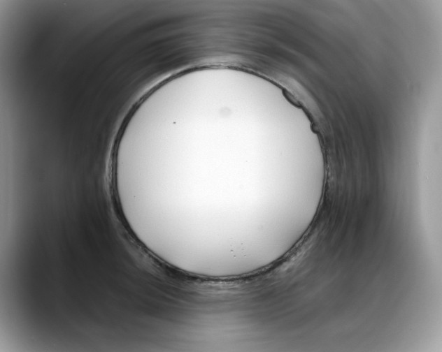 X0000088091044200706081746
