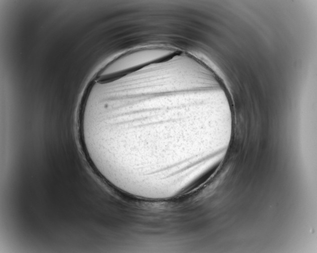 X0000088091045200706081746