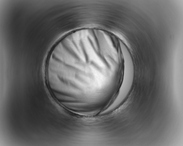 X0000088091046200706081746