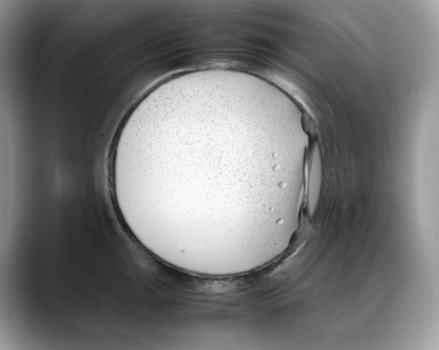 X0000088091047200706081746