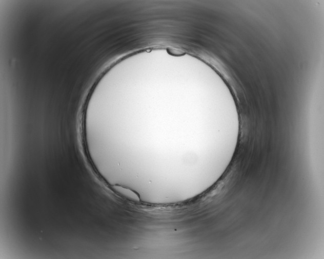X0000088091048200706081746