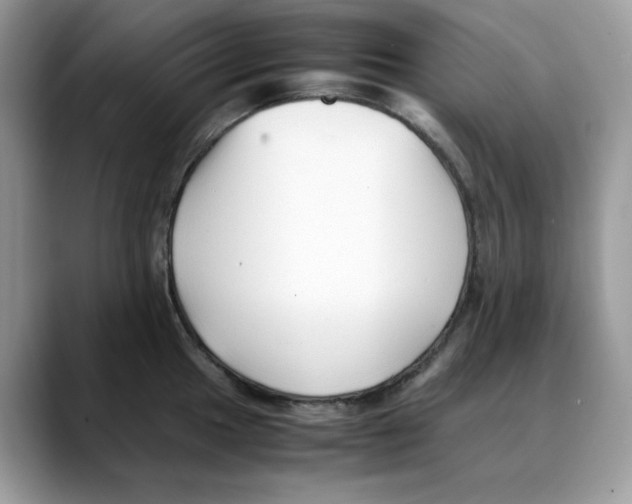 X0000088091049200706081746