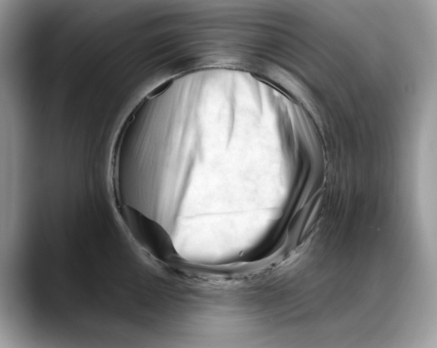 X0000088091050200706081746