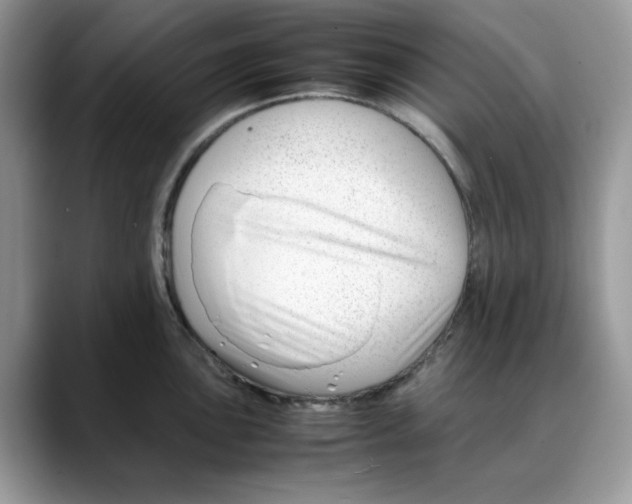 X0000088091051200706081746