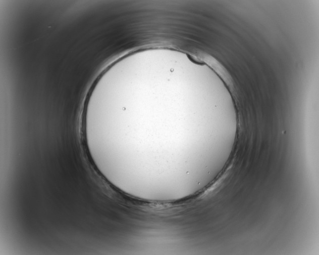 X0000088091052200706081746