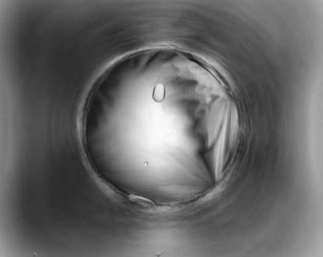 X0000088091054200706081746