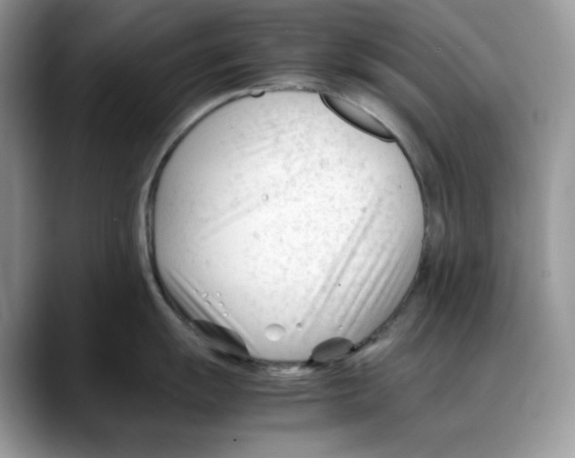 X0000088091055200706081746