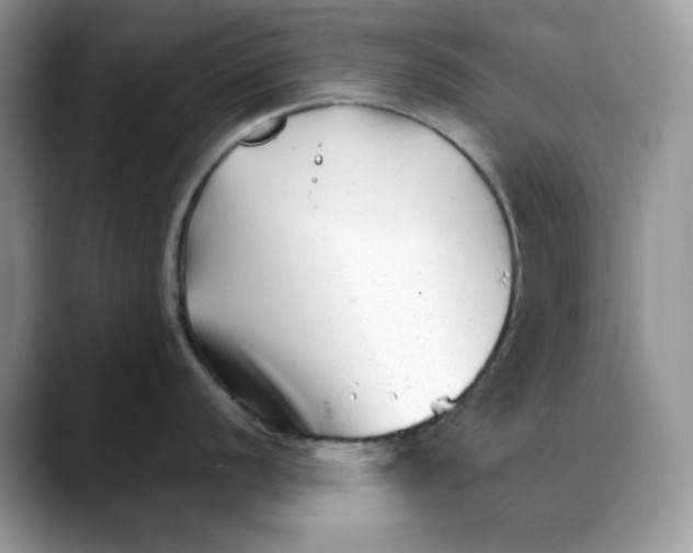 X0000088091056200706081746