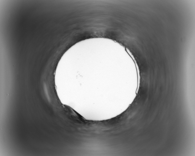 X0000088091057200706081745