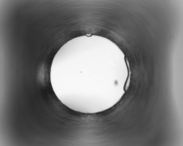 X0000088091058200706081745