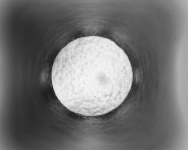 X0000088091059200706081745