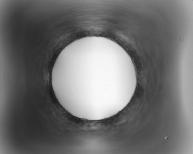 X0000088091061200706081745