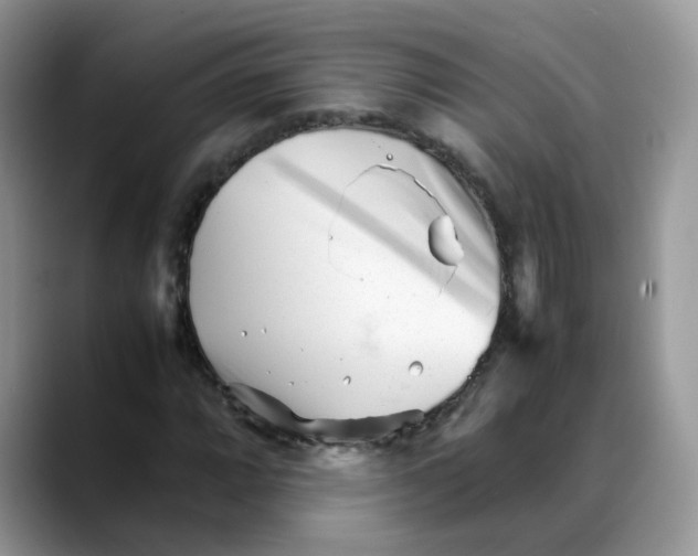 X0000088091064200706081745