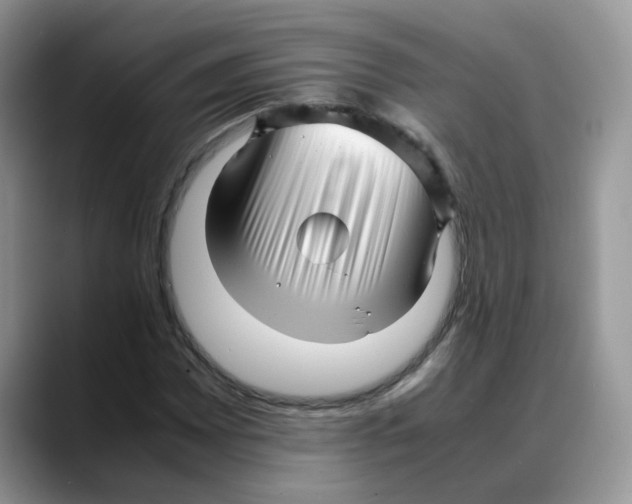 X0000088091065200706081745