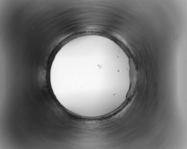 X0000088091066200706081745