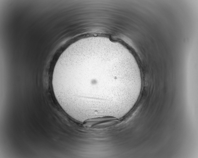 X0000088091067200706081745