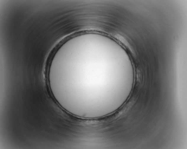 X0000088091068200706081745