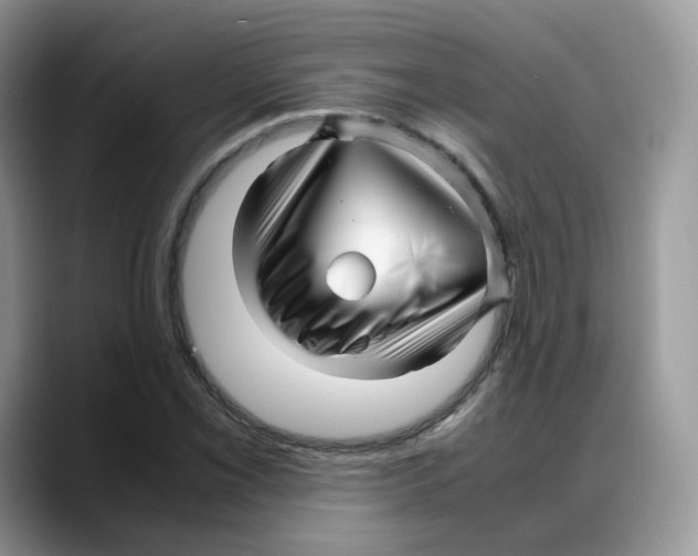 X0000088091069200706081745