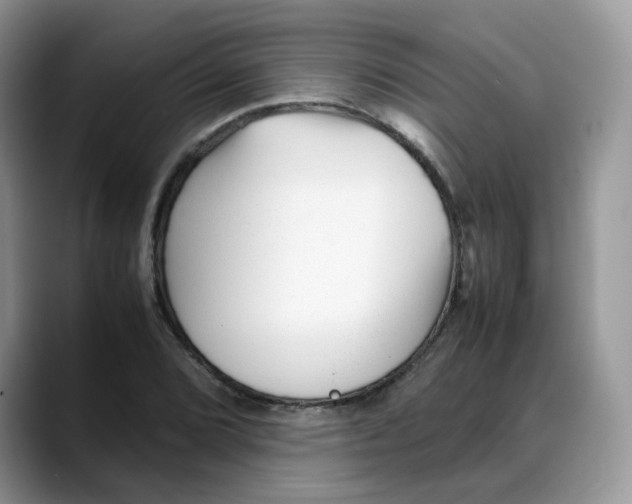 X0000088091072200706081745