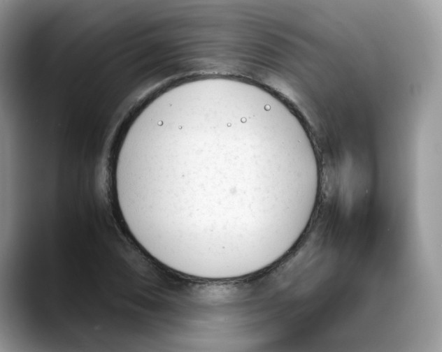 X0000088091074200706081745