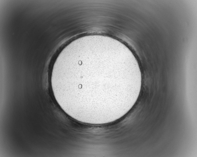 X0000088091075200706081745