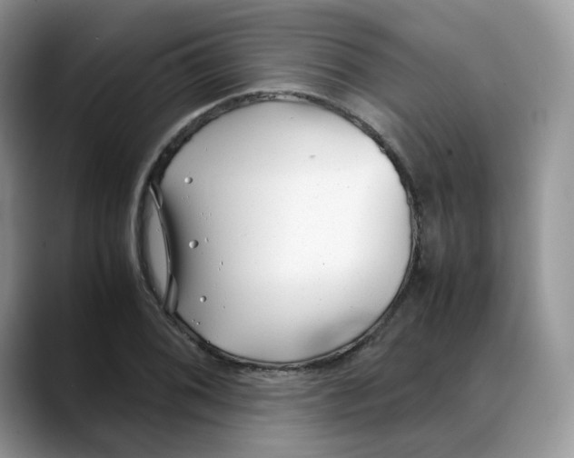 X0000088091076200706081745