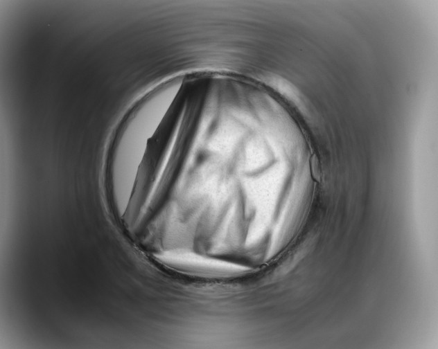 X0000088091077200706081745