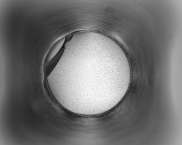 X0000088091079200706081745