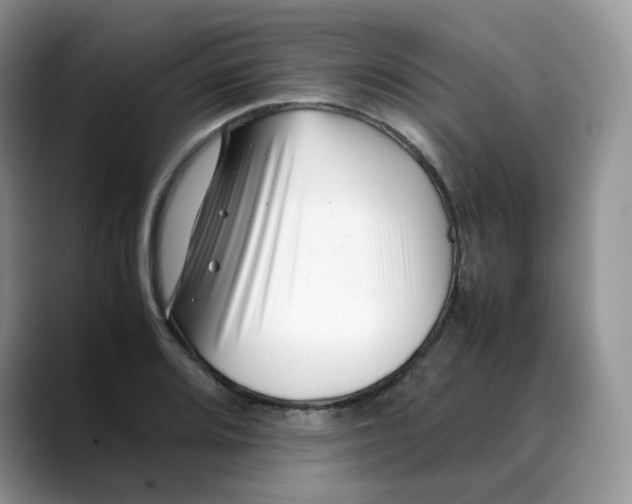 X0000088091080200706081745