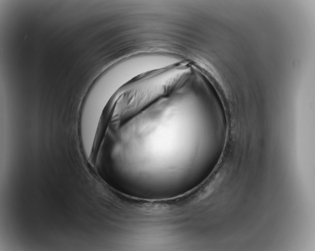 X0000088091081200706081745