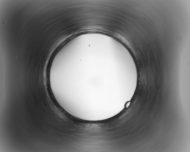 X0000088091082200706081745