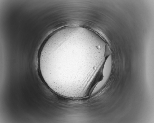 X0000088091083200706081745