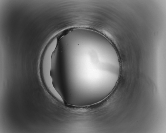 X0000088091085200706081745
